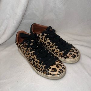 Leopard Print Coach Sneakers